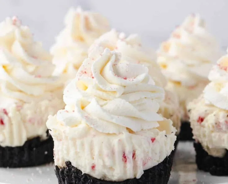 Delicious peppermint cheesecakes topped with crushed candy canes.